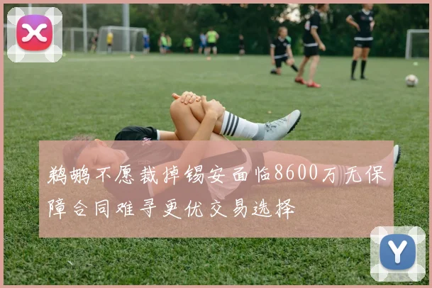 鹈鹕不愿裁掉锡安面临8600万无保障合同难寻更优交易选择