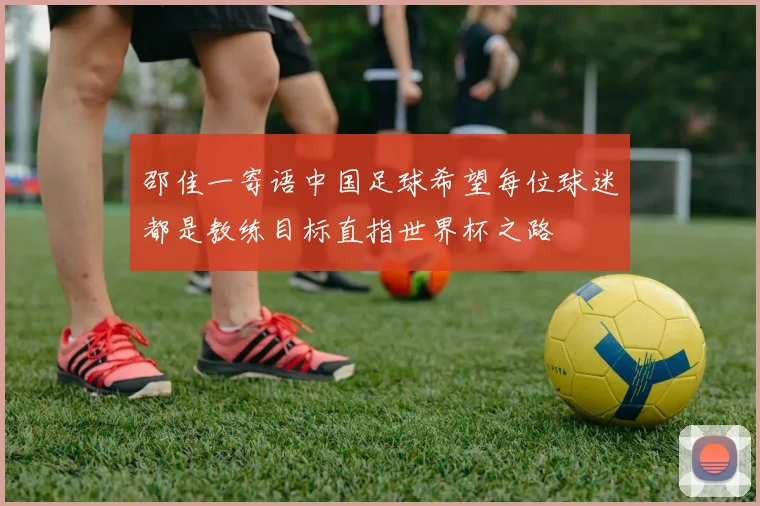 邵佳一寄语中国足球希望每位球迷都是教练目标直指世界杯之路