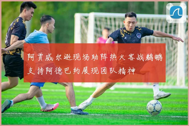 阿贾威尔逊现场助阵热火客战鹈鹕支持阿德巴约展现团队精神
